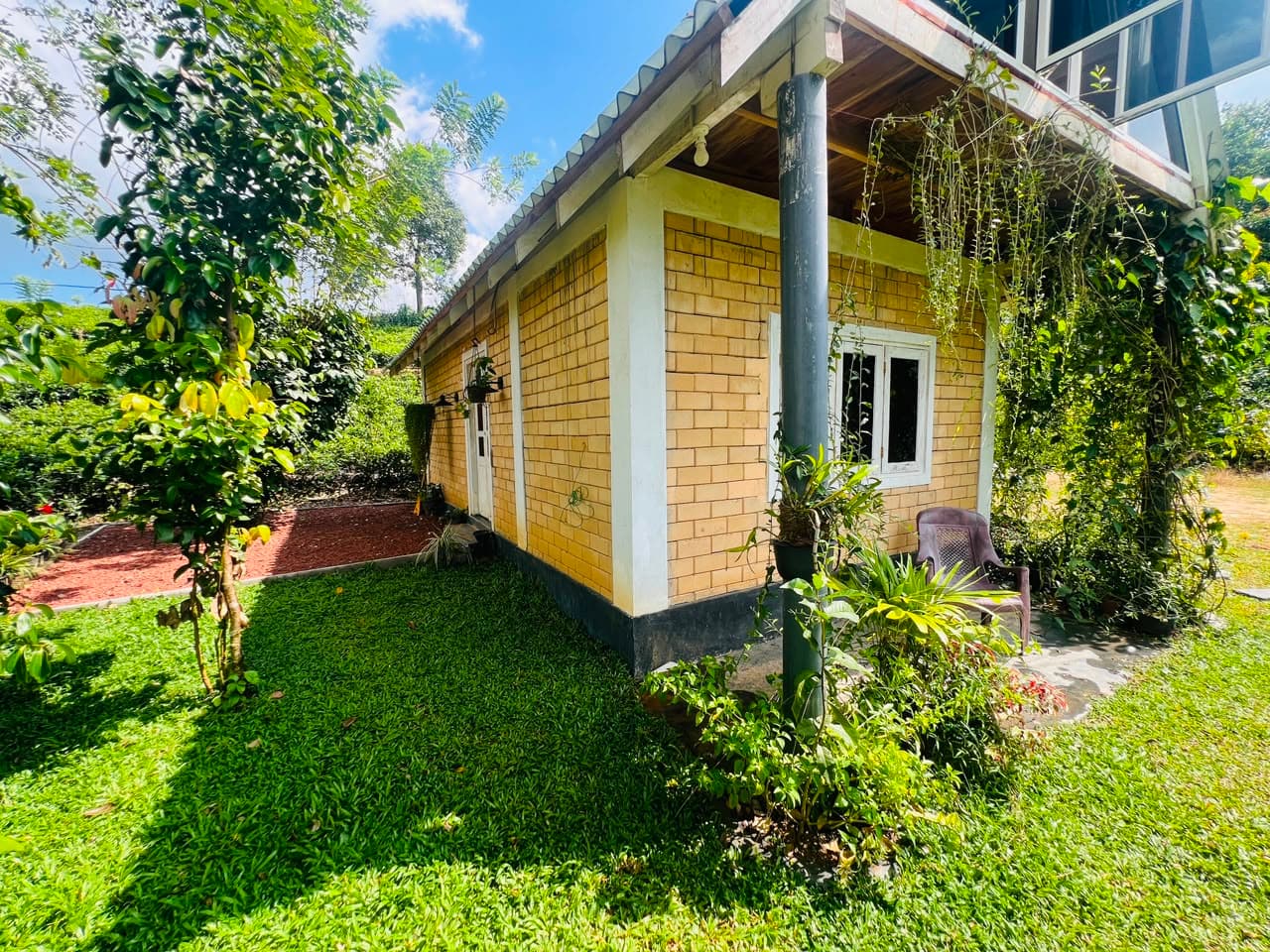 Verandah with Climbing Vines